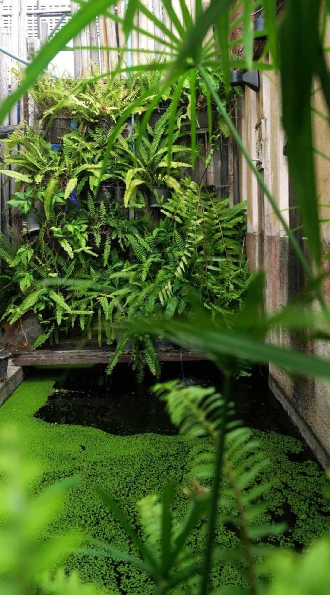 Koko Palm Inn Čiang Mai Exteriér fotografie